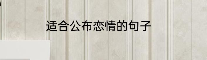 适合公布恋情的句子