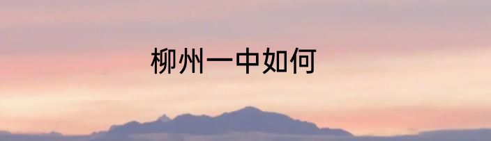 柳州一中如何