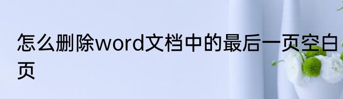 怎么删除word文档中的最后一页空白页