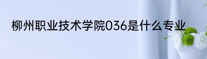 柳州职业技术学院036是什么专业