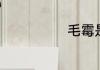 毛霉是什么生物