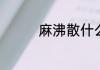 麻沸散什么时候问世的呢