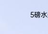 5磅水瓶是多少升