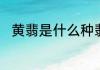 黄翡是什么种翡翠黄翡是哪种翡翠