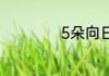 5朵向日葵花语介绍