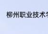 柳州职业技术学院036是什么专业