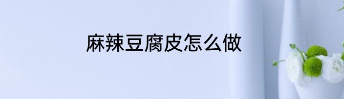 麻辣豆腐皮怎么做