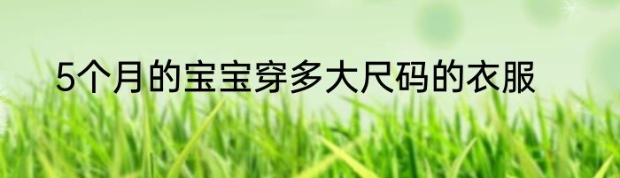 5个月的宝宝穿多大尺码的衣服
