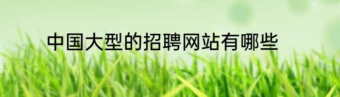 中国大型的招聘网站有哪些
