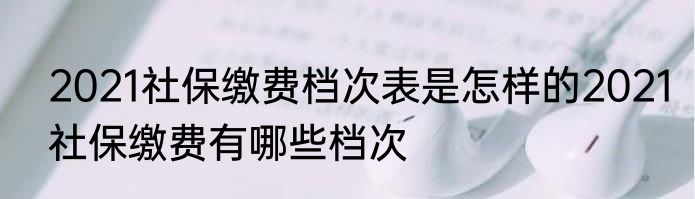 2021社保缴费档次表是怎样的2021社保缴费有哪些档次