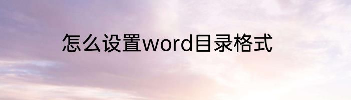 怎么设置word目录格式
