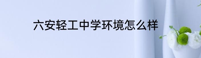 六安轻工中学环境怎么样