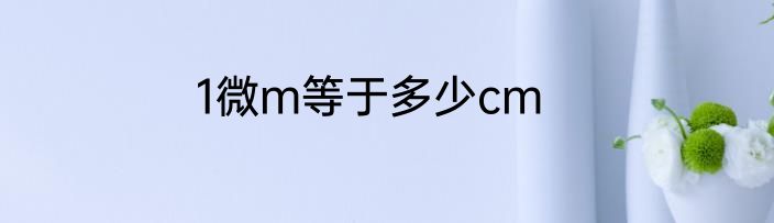 1微m等于多少cm