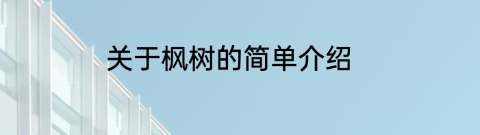 关于枫树的简单介绍
