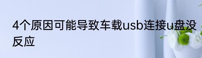 4个原因可能导致车载usb连接u盘没反应