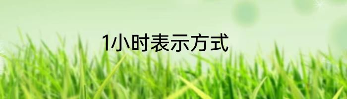 1小时表示方式
