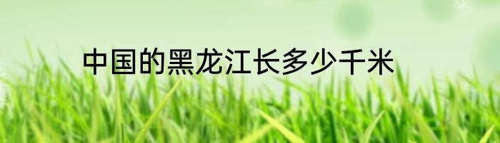 中国的黑龙江长多少千米