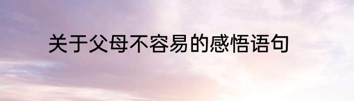 关于父母不容易的感悟语句