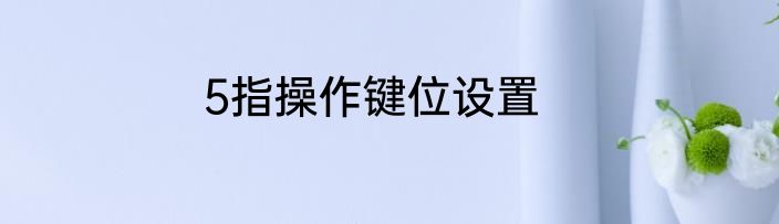 5指操作键位设置