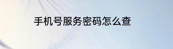手机号服务密码怎么查