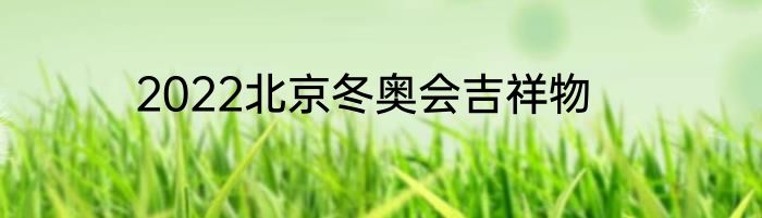 2022北京冬奥会吉祥物