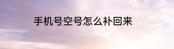 手机号空号怎么补回来