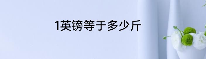 1英镑等于多少斤