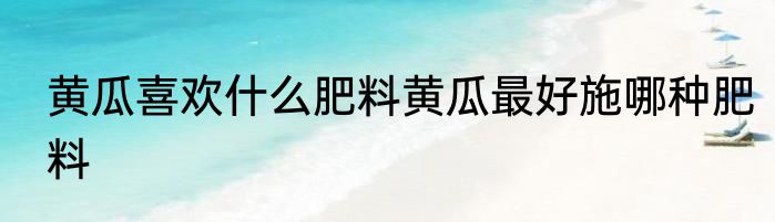 黄瓜喜欢什么肥料黄瓜最好施哪种肥料