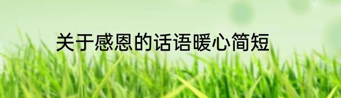 关于感恩的话语暖心简短
