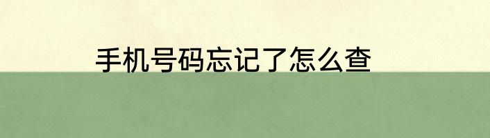 手机号码忘记了怎么查
