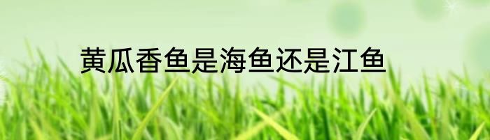黄瓜香鱼是海鱼还是江鱼