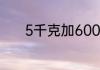 5千克加6000克等于多少千克