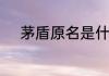 茅盾原名是什么为何笔名为茅盾