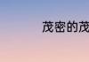 茂密的茂可以组什么词