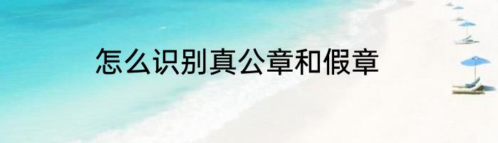 怎么识别真公章和假章