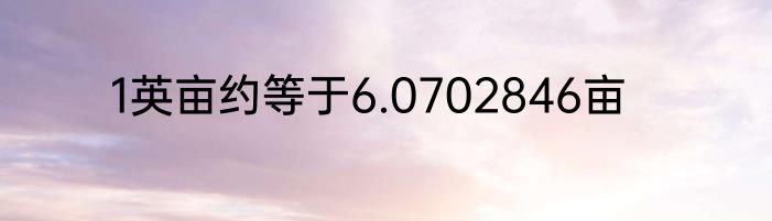 1英亩约等于6.0702846亩