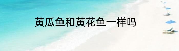 黄瓜鱼和黄花鱼一样吗