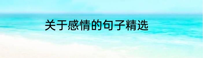 关于感情的句子精选