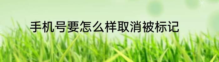 手机号要怎么样取消被标记