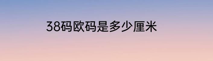 38码欧码是多少厘米
