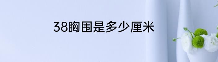 38胸围是多少厘米