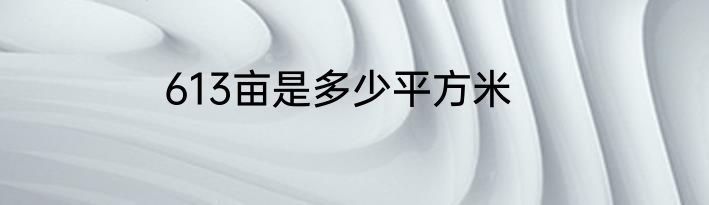 613亩是多少平方米