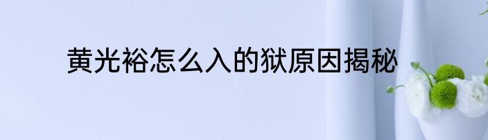 黄光裕怎么入的狱原因揭秘