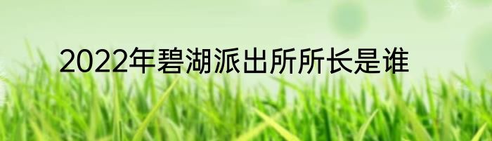 2022年碧湖派出所所长是谁