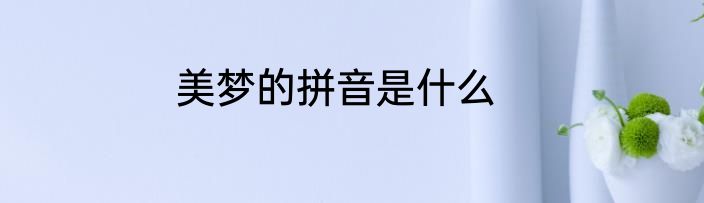 美梦的拼音是什么
