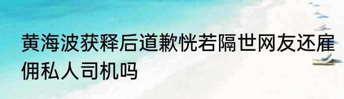黄海波获释后道歉恍若隔世网友还雇佣私人司机吗