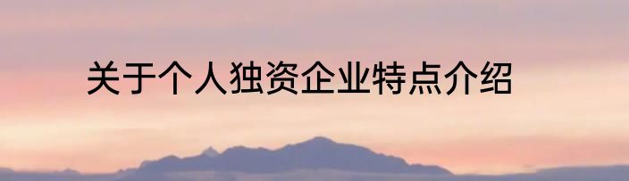 关于个人独资企业特点介绍