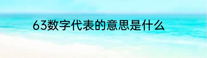 63数字代表的意思是什么
