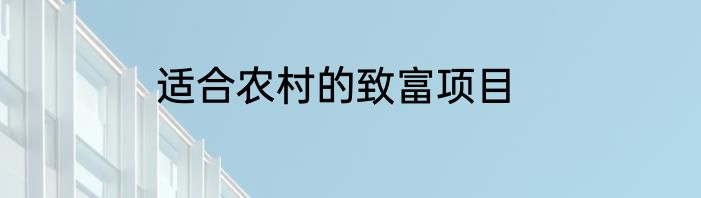 适合农村的致富项目