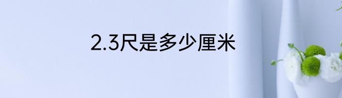2.3尺是多少厘米